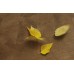 RING NATURALE RETT.