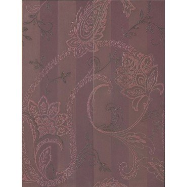 CASHMERE PRUGNA