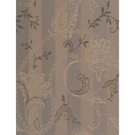 CASHMERE TORTORA