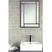 LISO PB SILVER MIST 10 X 20