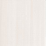 E_MOTION WHITE