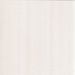 E_MOTION WHITE