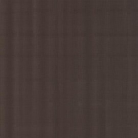 E_MOTION BROWN
