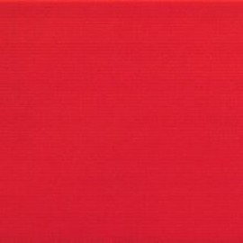 CORAL 30 PAV