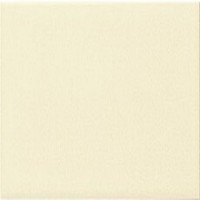 LISO PB BISCUIT 10 x 10
