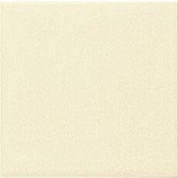 LISO PB BISCUIT 10 x 10
